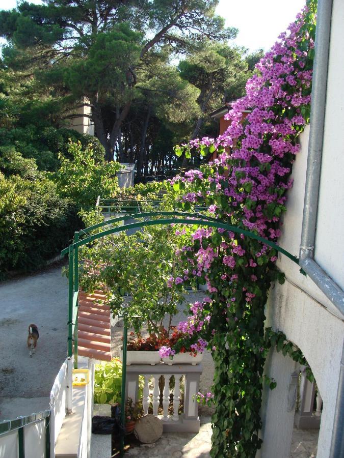Apartments By The Sea Jadrija, Sibenik - 11356 Ngoại thất bức ảnh